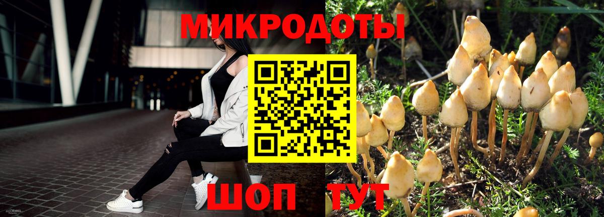 Ногинск  Псилоцибиновые грибы Psilocybine cubensis  Галлюциногенные грибы Psilocybe  Вход с VPN 