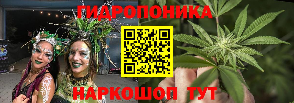 Ногинск  Марихуана SATIVA & INDICA  Бошки марихуана VHQ  Вход с VPN  Канабис сатива 